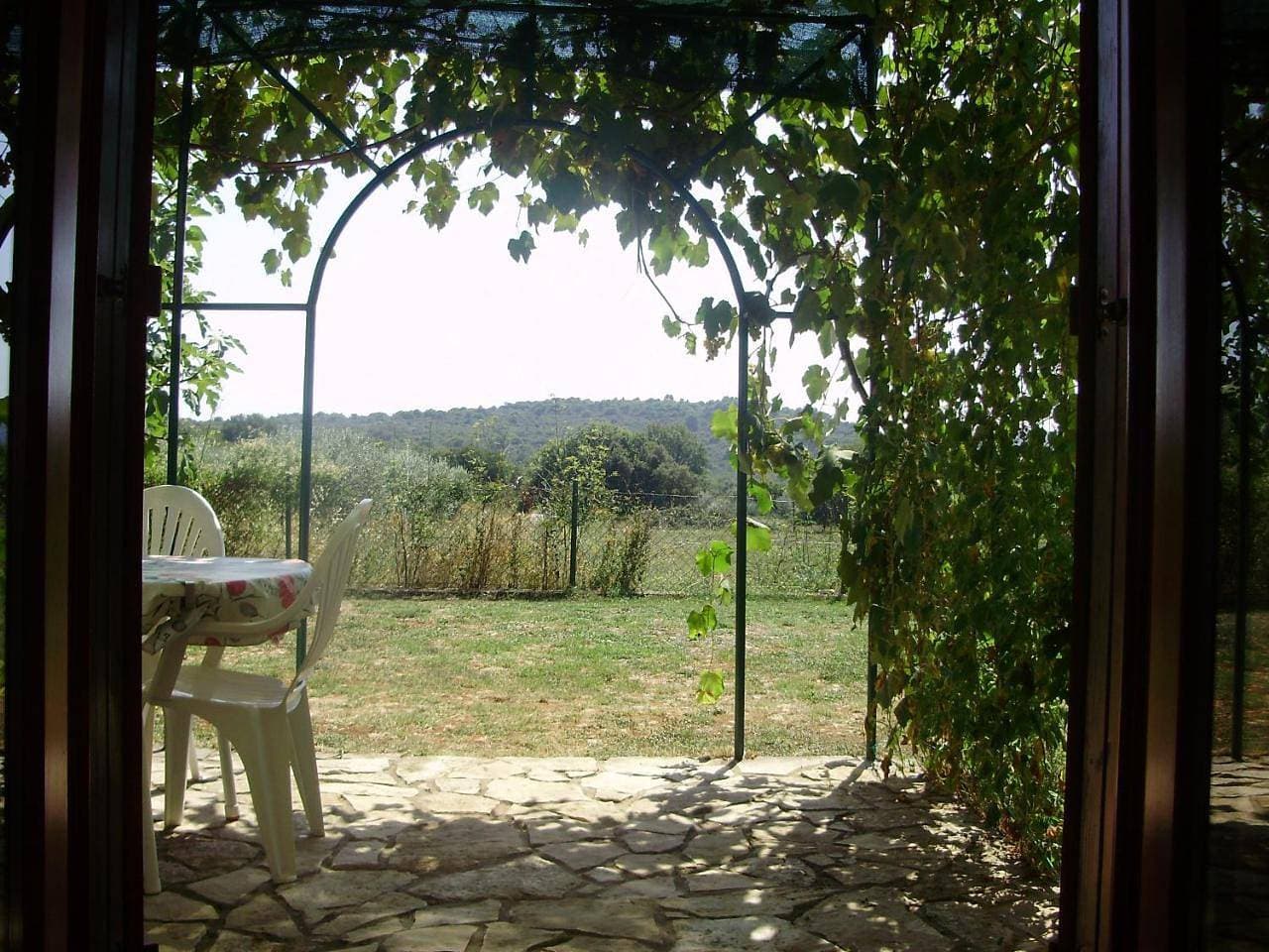 Foto 6 von 16: Apartment with Garden View