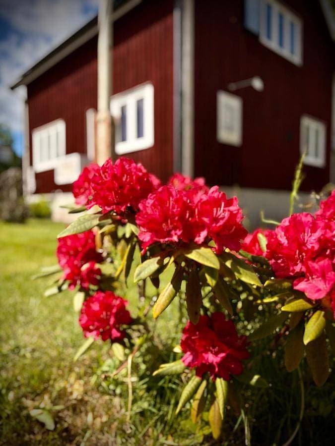 Foto 4 von 112: Holiday Home