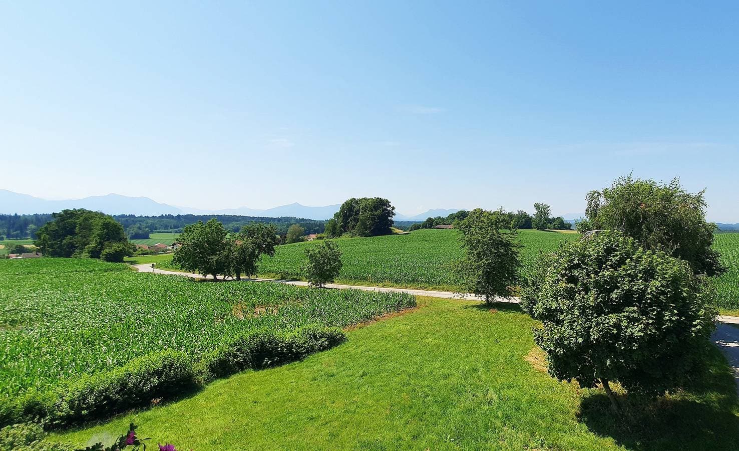 Foto 9 von 13: Hechlhof - Ferienwohnung 1, 52 qm für 1-4 Personen mit Balkon