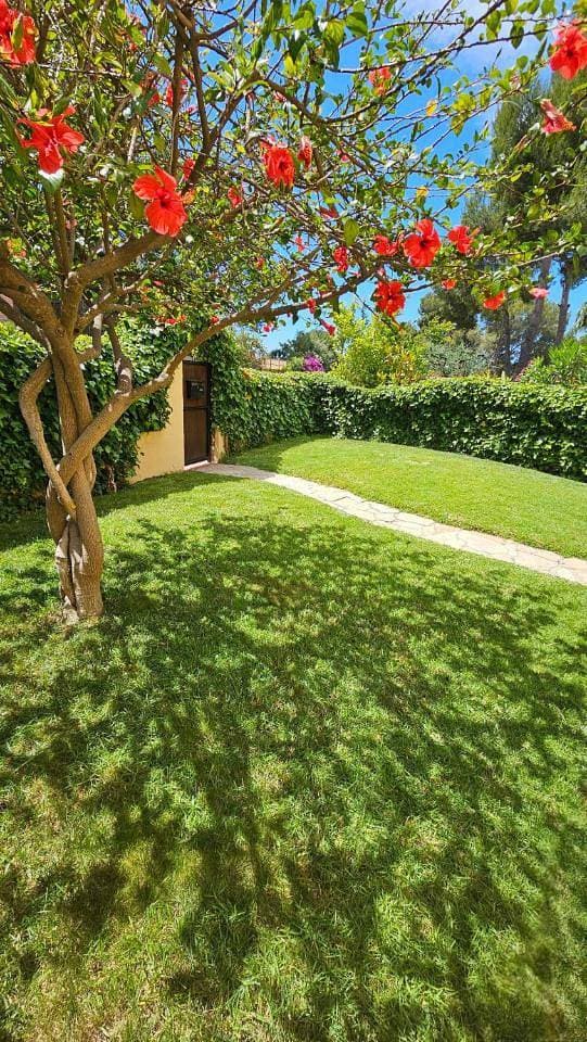 Foto 10 von 41: One-Bedroom House with Private Garden
