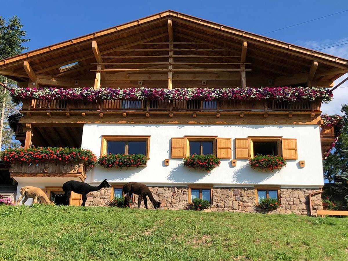 B&B Belvedere 1