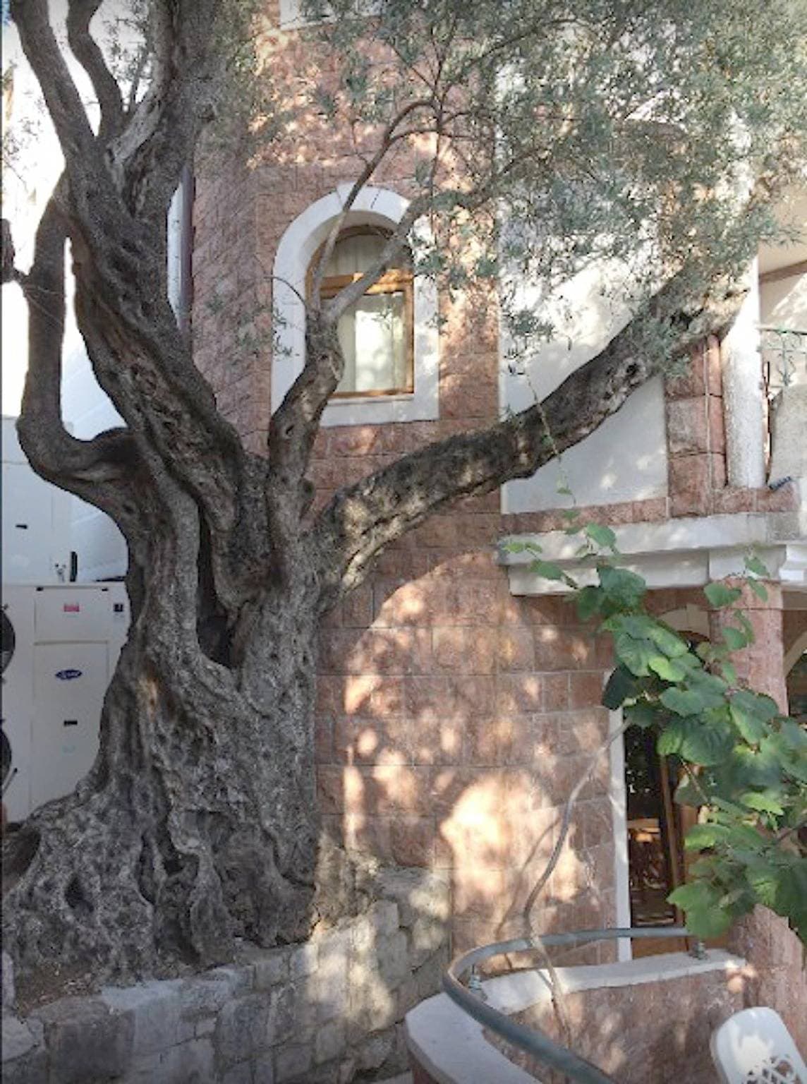 Foto 9 von 23: Levantin Inn 1,3 Zimmer N8 Meerseite