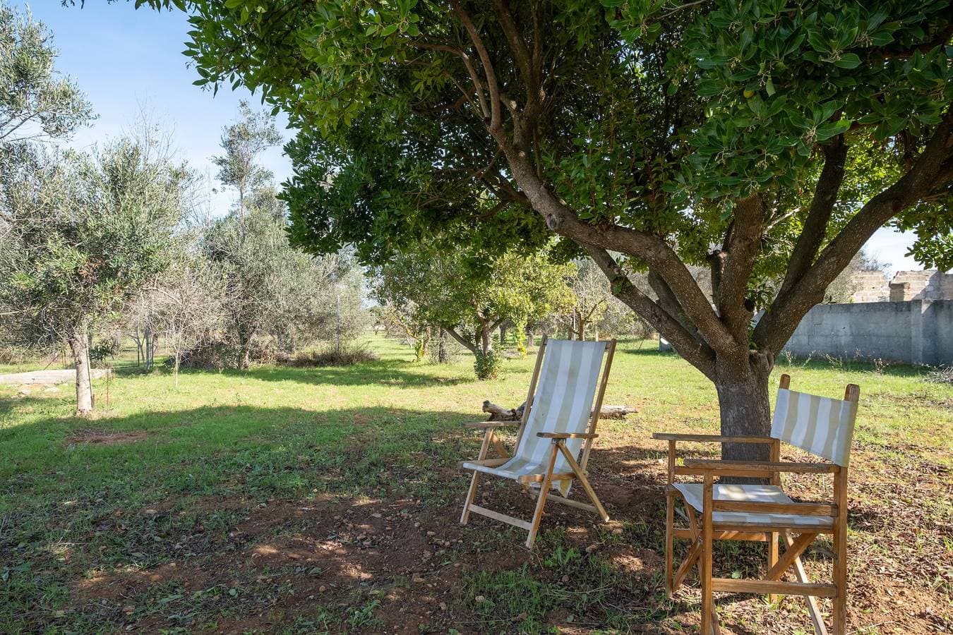Foto 2 von 26: Ferienhaus 'Oasi Naturale Di Porto Selvaggio' mit Terrasse, WLAN und Klimaanlage