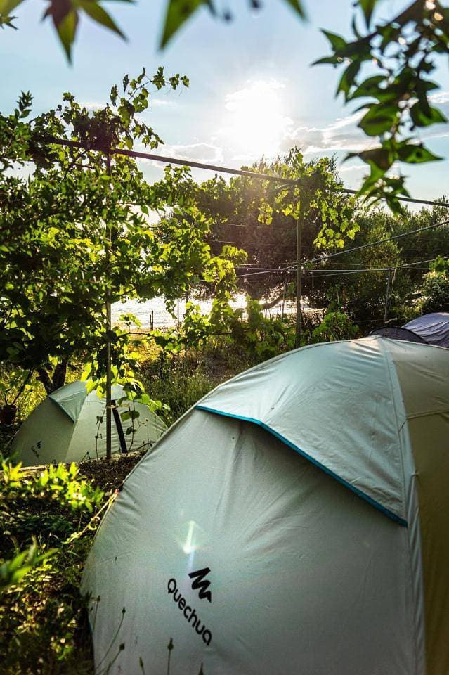 Foto 9 von 16: Tent