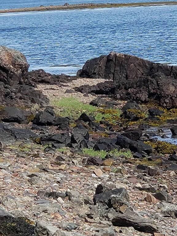 Foto 8 von 51: Volle Rückerstattung bis 1 Tag vorher/Kajaks/Feuerstelle/Strand/Haustiere willkommen