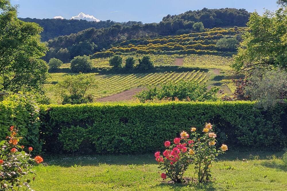 Foto 9 von 30: Freistehendes Haus mit schönem Garten in Vinsobres Drôme provençale für 2 Pers