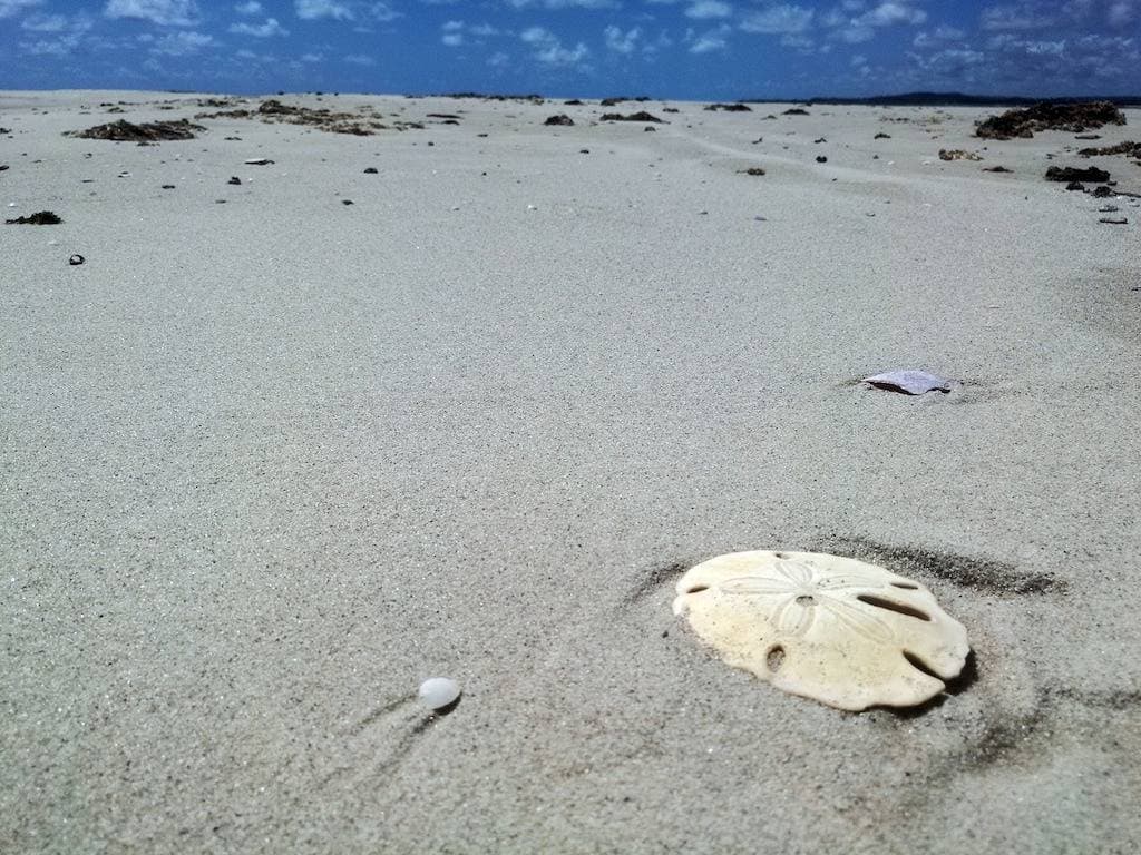 Foto 5 von 40: Manga Verde Beach 03: Blick auf Pool und Strand H
