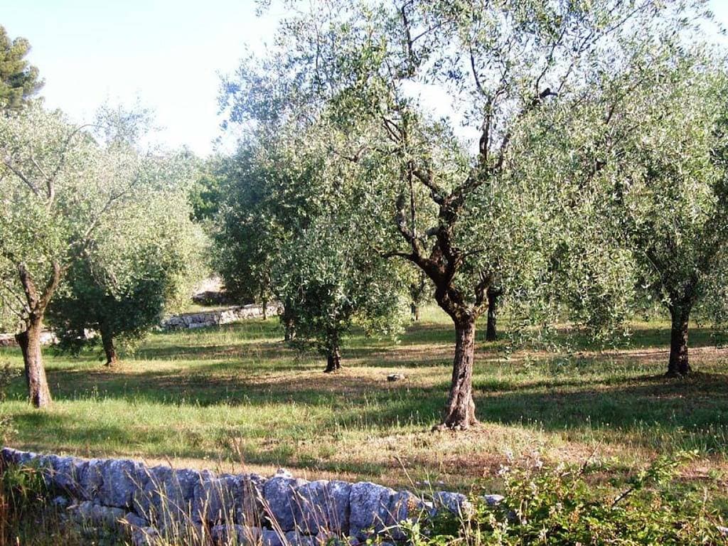 Foto 11 von 18: La Bergerie de l'Aspe