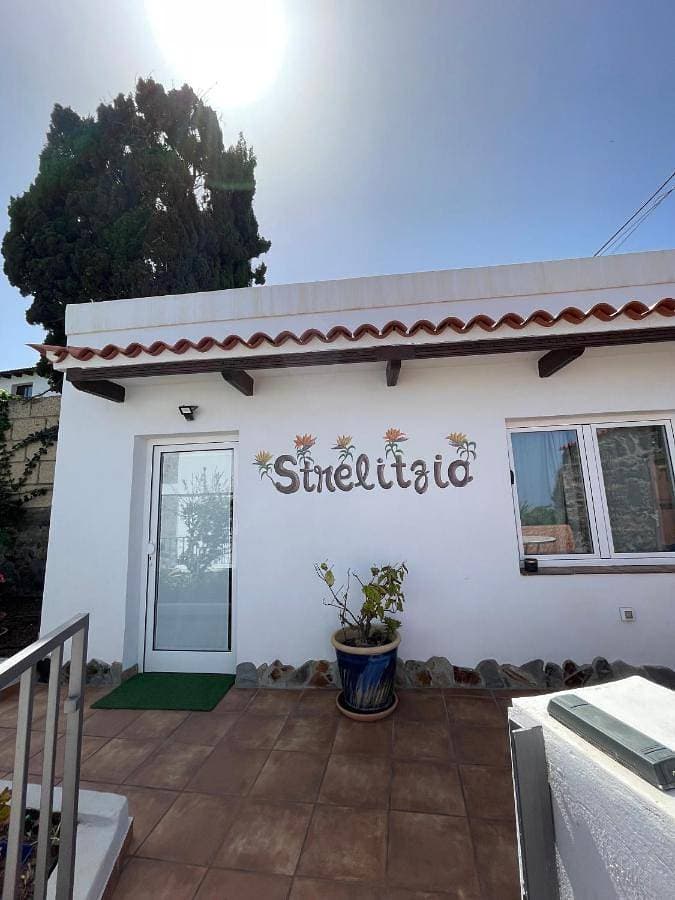 Strelitzia Apartament 1