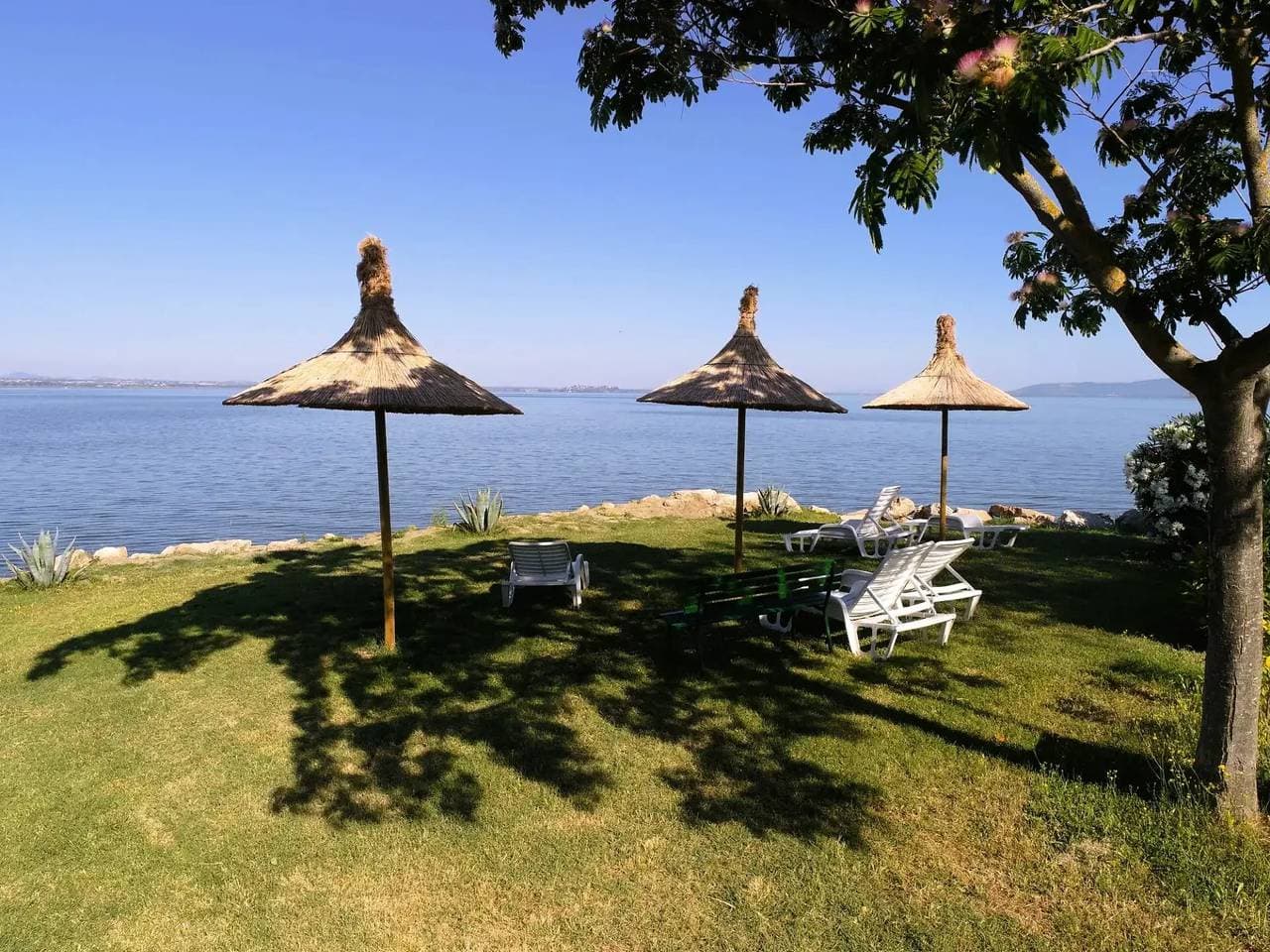 Foto 6 von 21: Mobilheim | Premium | 2 Zi. | 4 pers. | Lounge Terrasse | A/C
