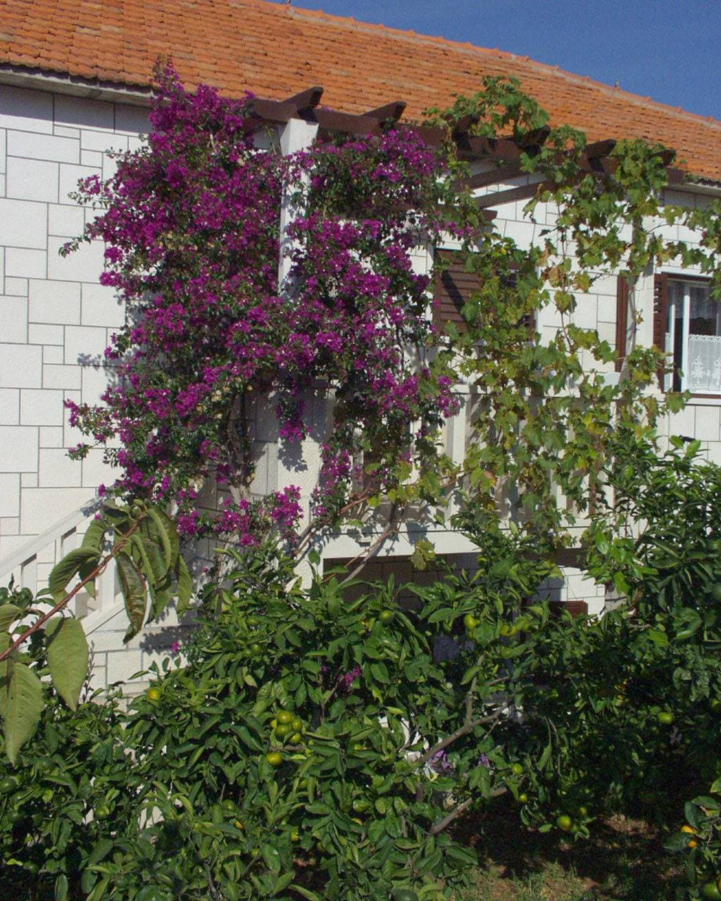 Foto 8 von 28: One bedroom apartment with balcony and sea view Postira, Brač -b