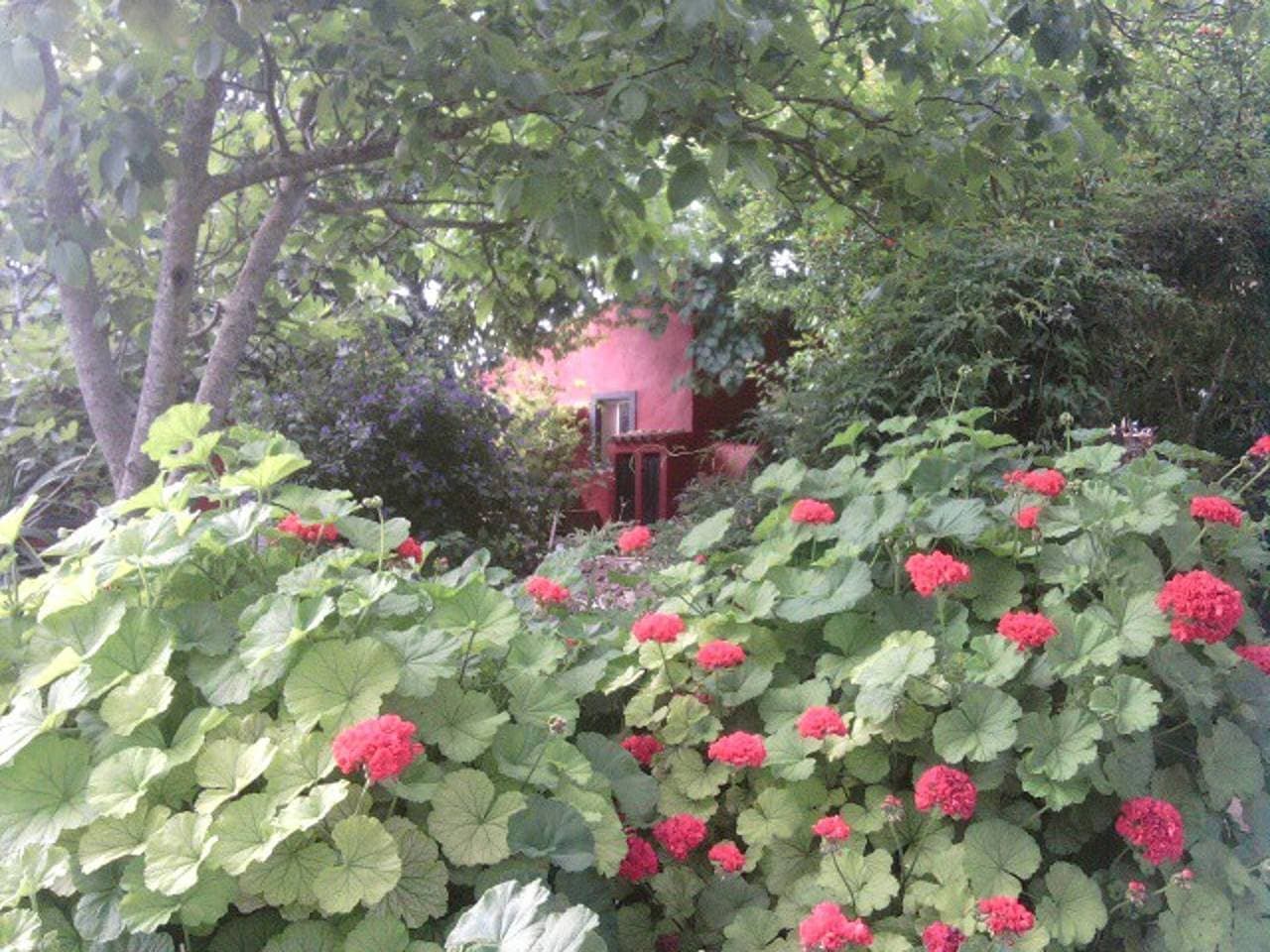 Foto 6 von 50: Casa Bi Rosario - Quinta Amoreira