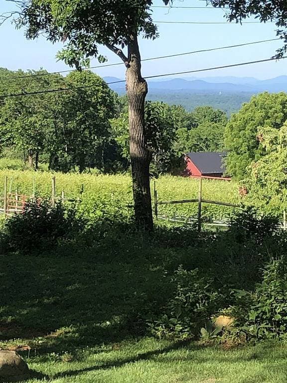 Foto 5 von 15: Einzigartiger Berggipfel-Urlaub mit Blick auf die Willow Croft Weinkellerei.
