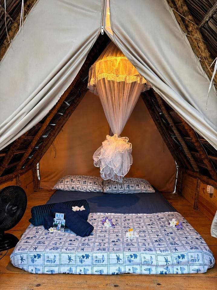 Foto 12 von 17: Tent