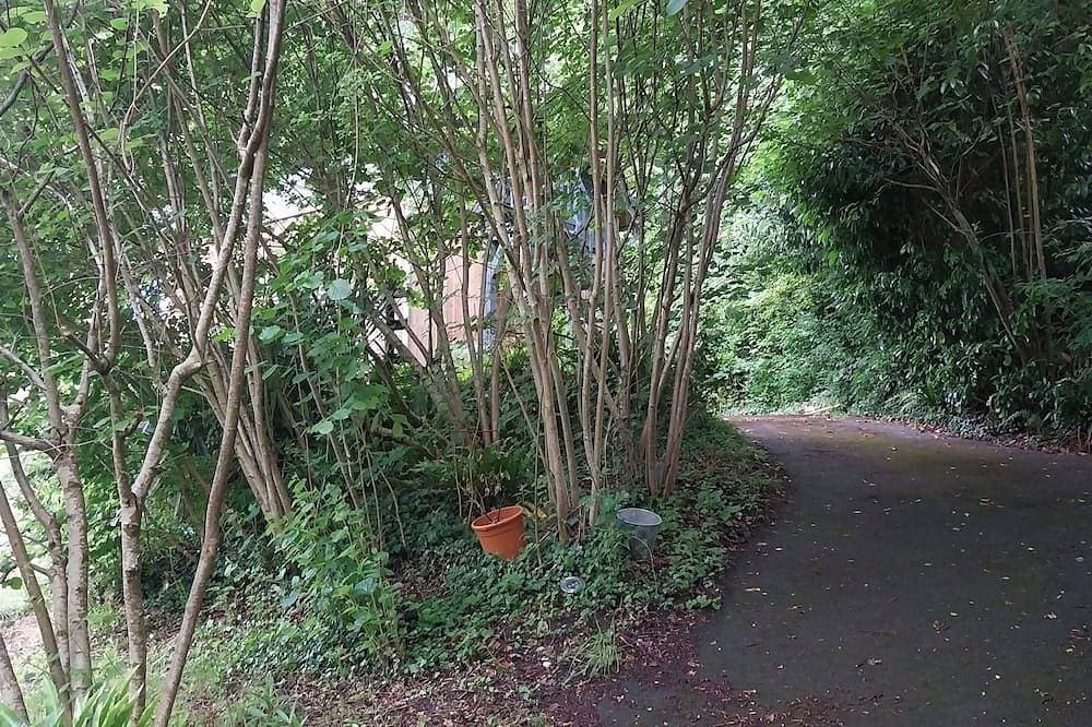 Foto 5 von 19: Maison en lisière de forêt au calme.