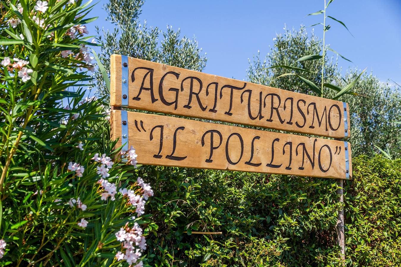 Agriturismo il Pollino 1