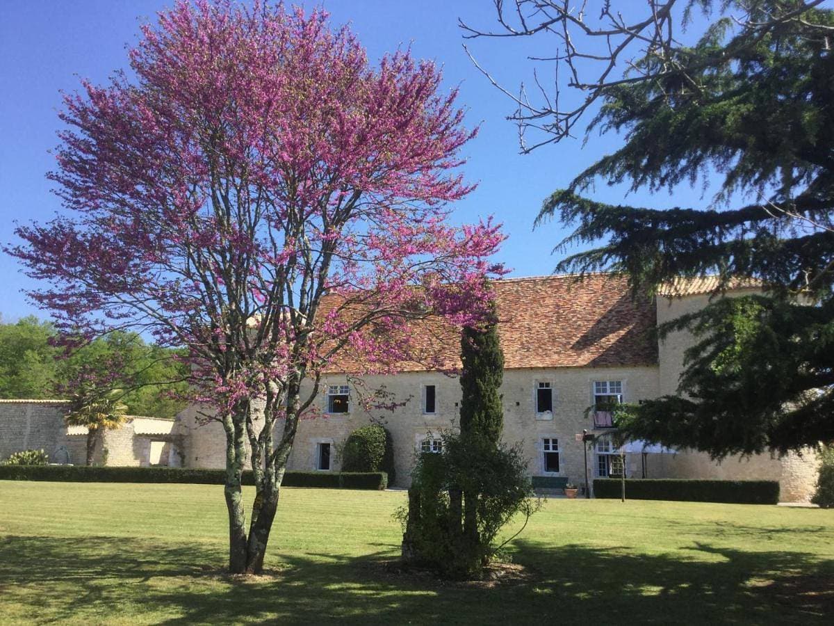 Chateau de Lugérat - 4 chambres - 2 et 3 personnes 1