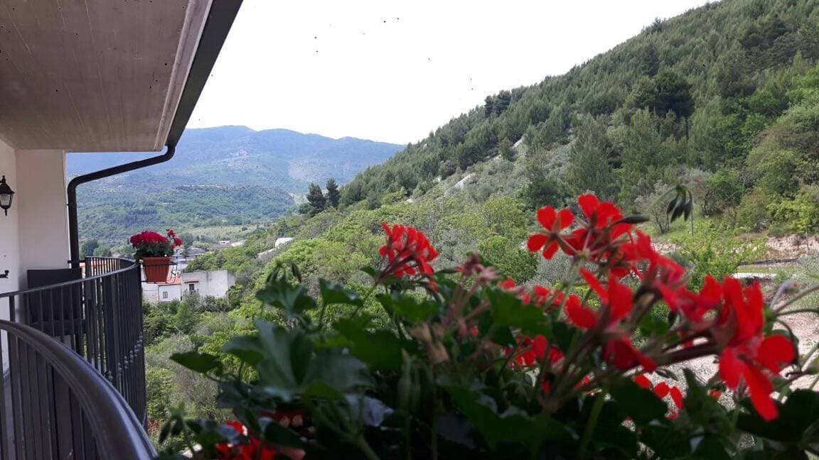 Foto 13 von 22: Double Room with Balcony