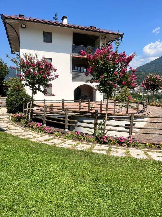 Il Gallo 1