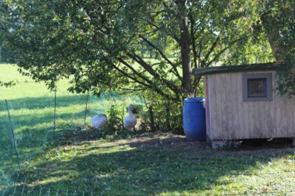Foto 13 von 23: Ferienwohnung 2 im schönen Gutenberg / Ostallgäu