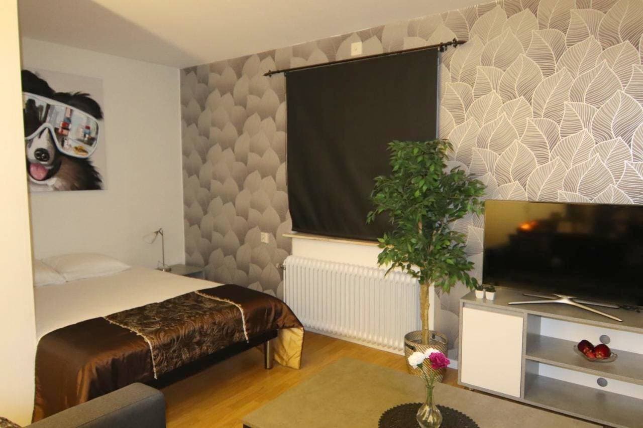 Studio Apartment 1