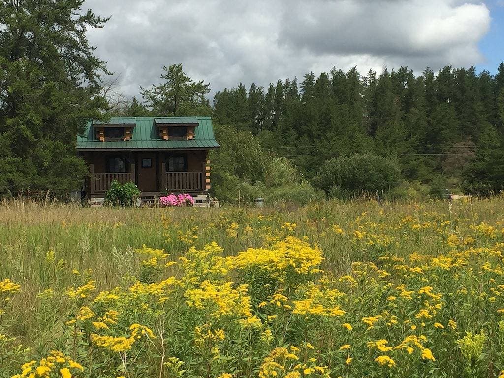Foto 5 von 10: Kleine rustikale Hütte im Black Lantern Resort