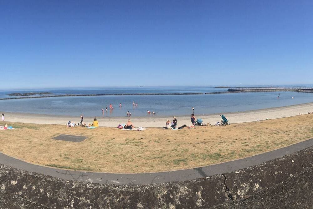 Foto 13 von 14: Lagoon View Cottage, nur wenige Schritte vom Meer entfernt.
