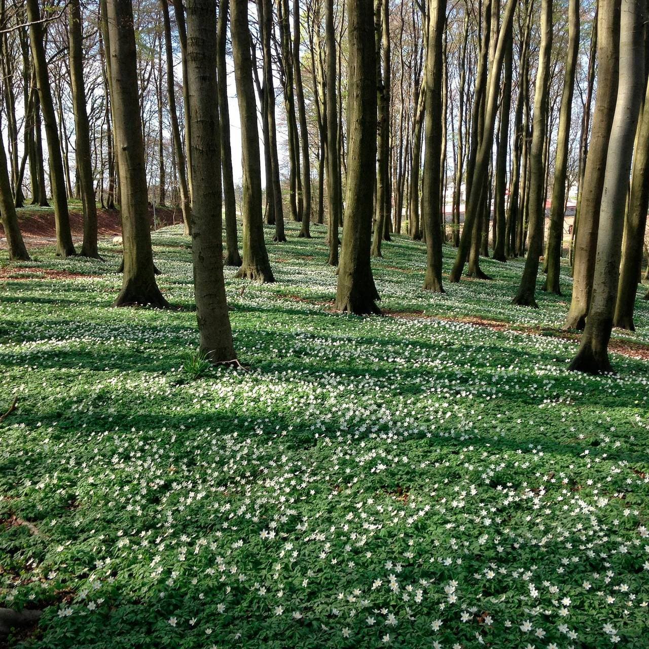 Foto 7 von 10: Hof Uhleck am Königsstuhl 2