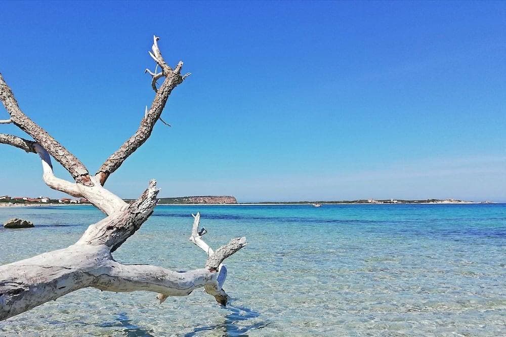 Marina Di San Vero Milis: Ferienhaus / Villa - Marina di San Vero Milis 1