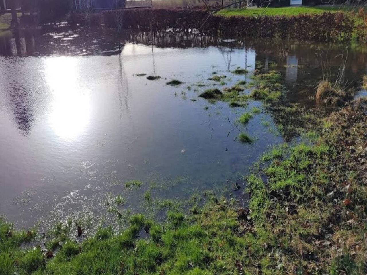 Foto 5 von 36: Kustenzauber in Ristinge