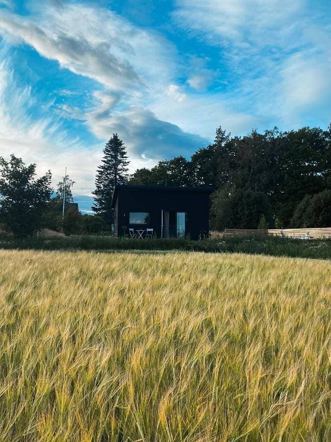 Foto 2 von 30: Holiday Home