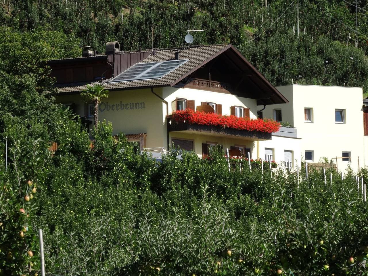 Foto 10 von 13: Apartment 'Himmelschlüssel' mit Bergblick, Gemeinschaftspool und WLAN