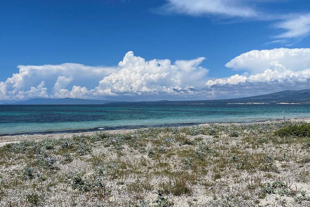 Foto 5 von 7: Pet friendly,close to wild beaches