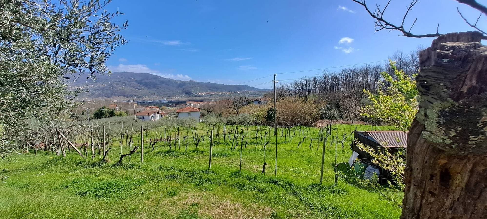 Foto 8 von 22: Ferienhaus 'Da Chicca' mit Landschaftsblick, WLAN und Klimaanlage
