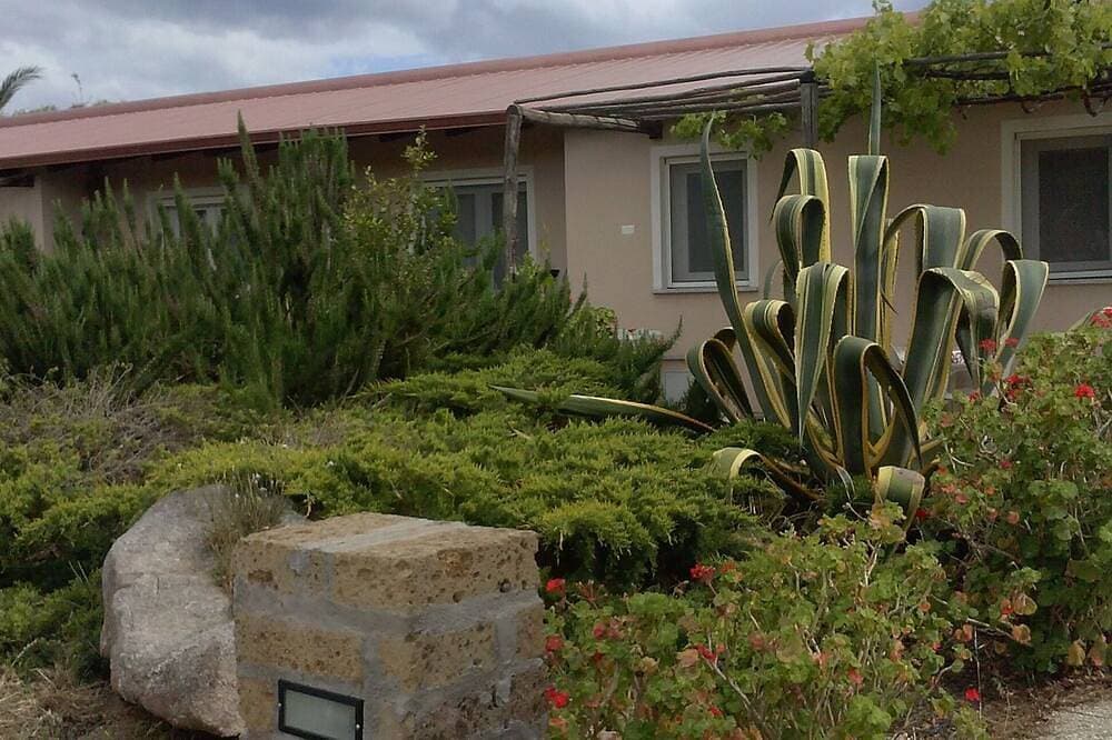 Foto 10 von 30: Ferienhaus mitten in einem Olivenhain und Mittelmeermacchia