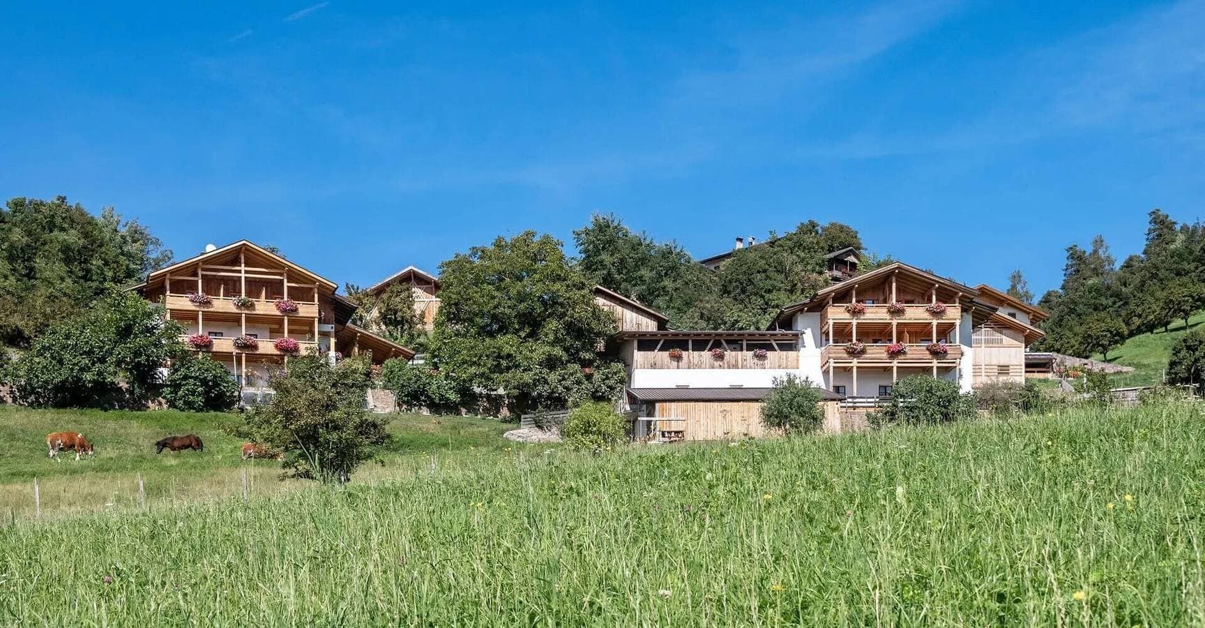 Foto 5 von 15: Apartment „Zimmer Tschafon Wieserhof“ mit Bergblick, privater Terrasse und WLAN
