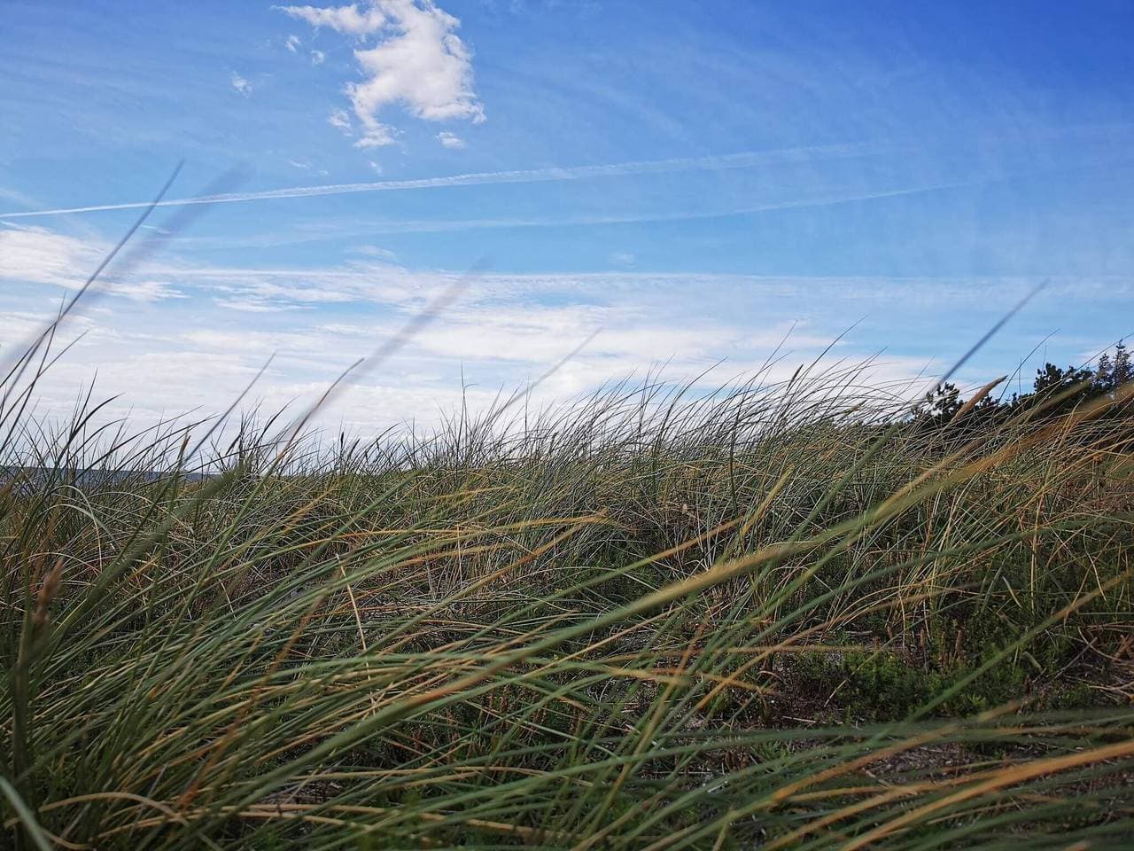 Foto 4 von 42: Ruhige Oase in Strandnähe