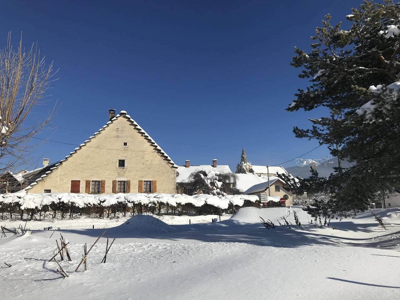 Bleuet - La Ferme de Grandpré 1