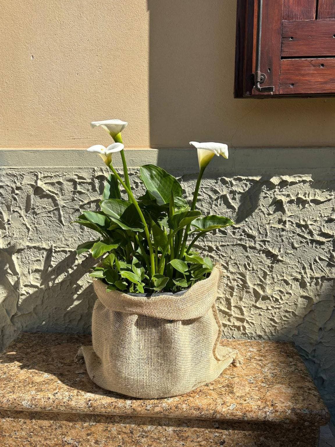 Foto 5 von 42: Casa Olinda a  Lazise