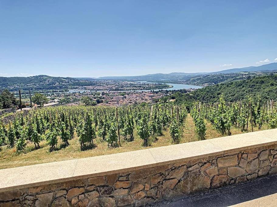 Condrieu, le Châtillon au cœur du vignoble vue sur vallée du Rhône climatisé 1
