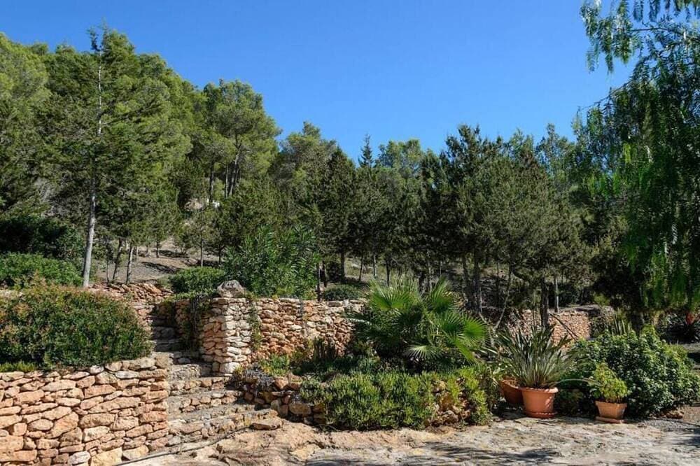 Foto 8 von 17: New! Villa Can Guillem Patri