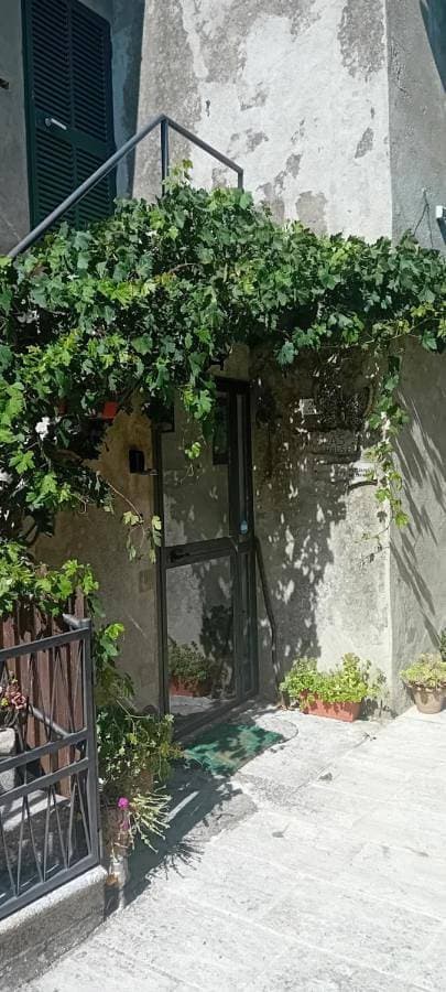 Nicolas House 1
