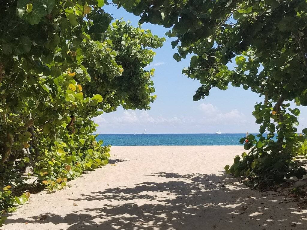 Foto 3 von 42: Sauberes Studio zu Fuß zum Strand. Alles, was Sie für einen schönen Urlaub brauchen.