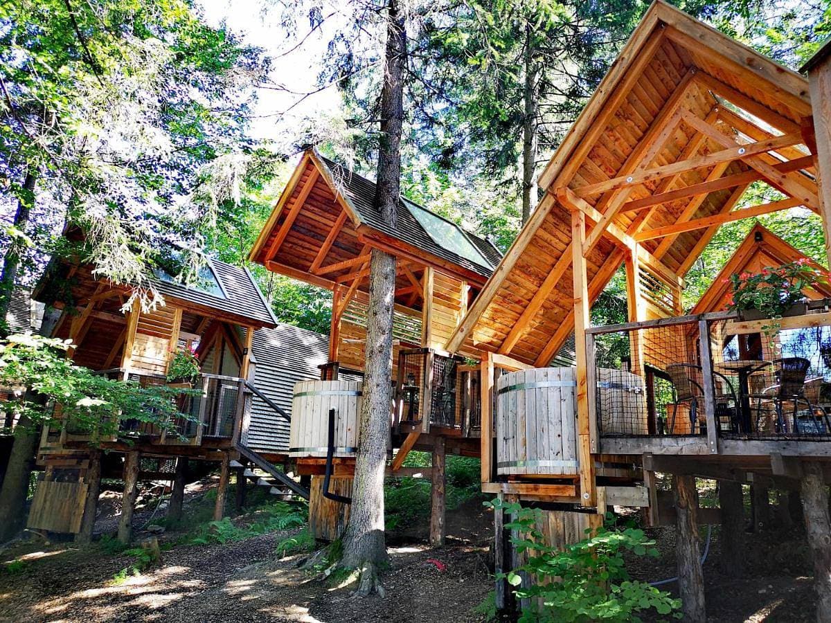 Ribno Alpine Glamping 1