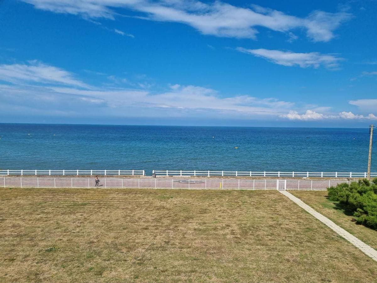 Lion Beach 1