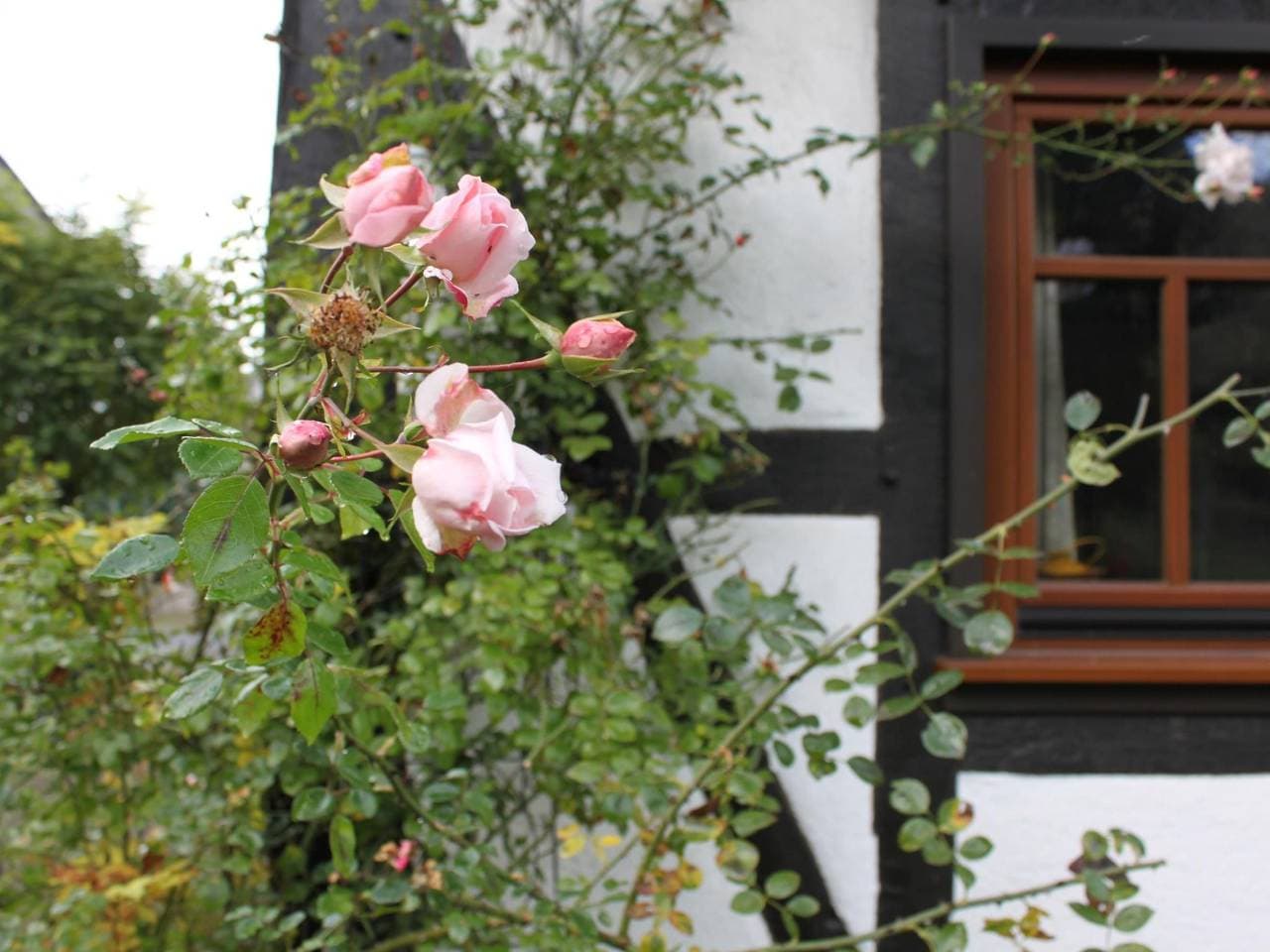 Foto 7 von 52: Romantisches Fachwerkhaus zwischen Rhein und Mosel