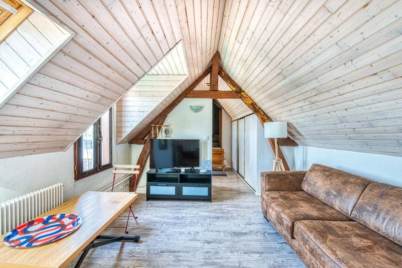 Beau STUDIO vue LOIRE 1