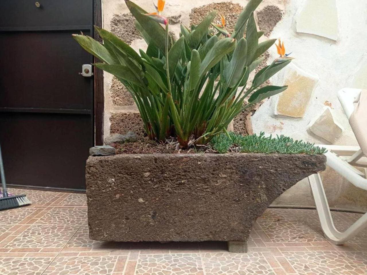Foto 10 von 41: Apartment with Garden View