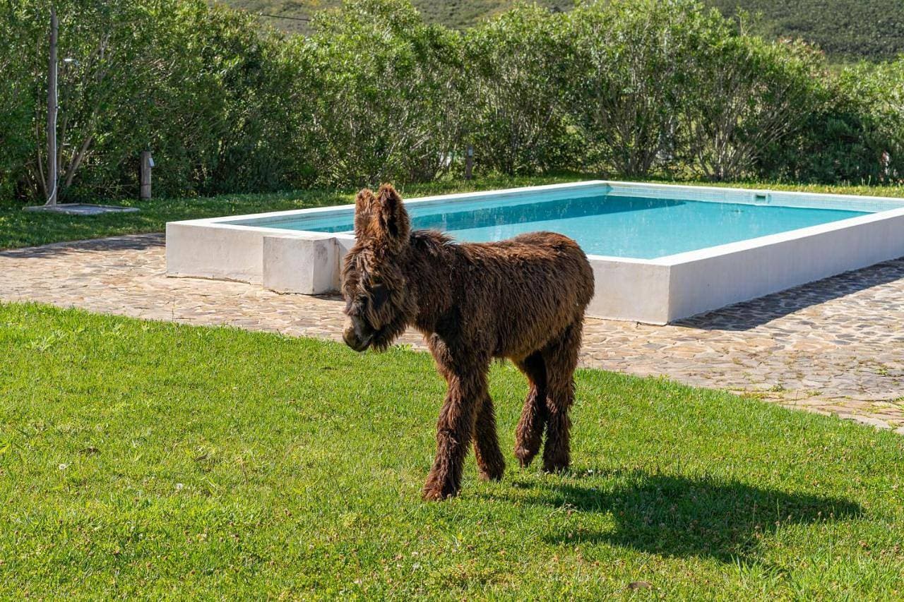 Foto 8 von 23: Holiday Home