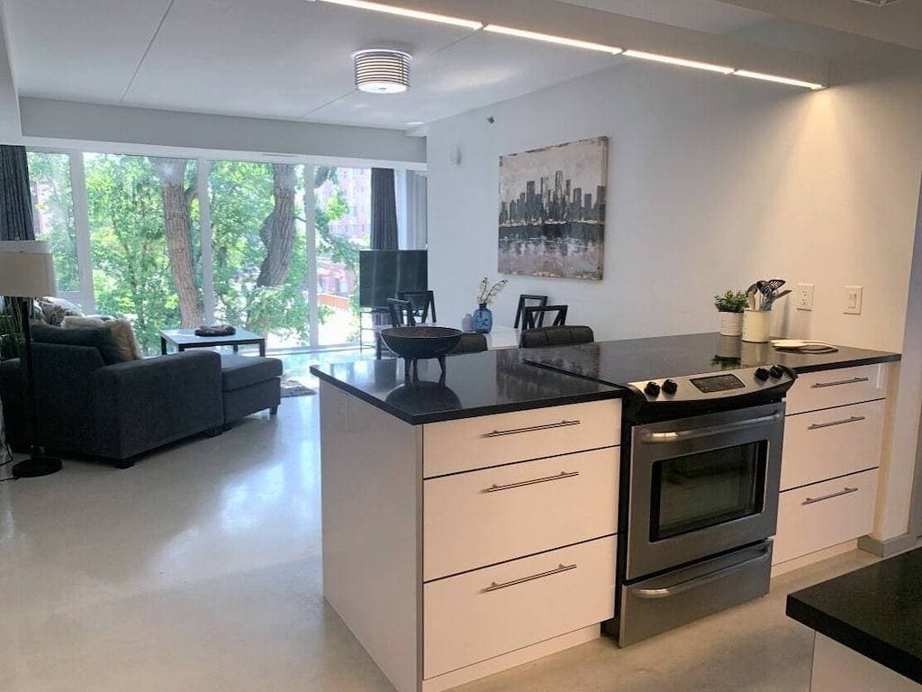 Foto 13 von 15: Neue moderne 2 Bdr 2 1/2 Br 1500sq / ft Luxus-Eigentumswohnung in Osborne Village !!!